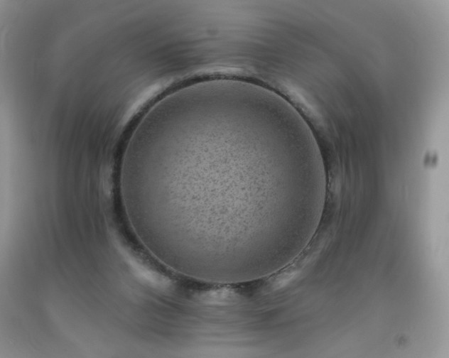 X0000092300112200709141328