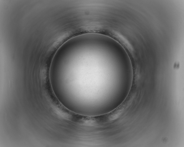 X0000092300113200709141328