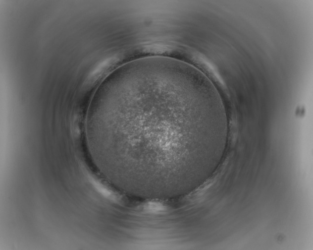 X0000092300114200709141328