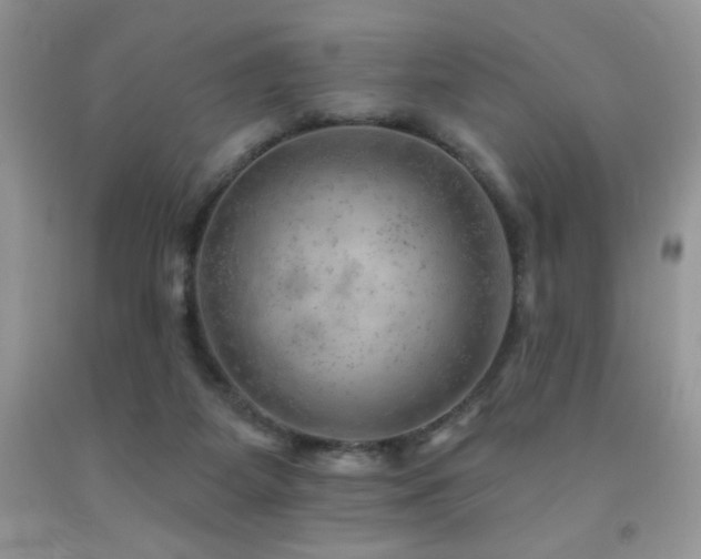 X0000092300115200709141328