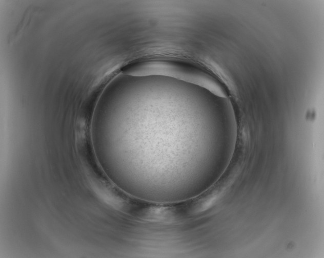 X0000092300117200709141328