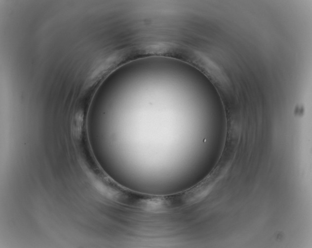 X0000092300118200709141328