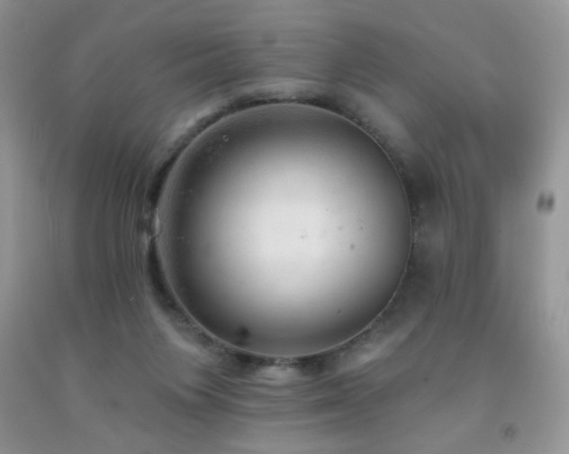 X0000092300119200709141328