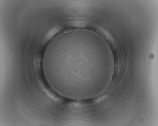 X0000092300120200709141328