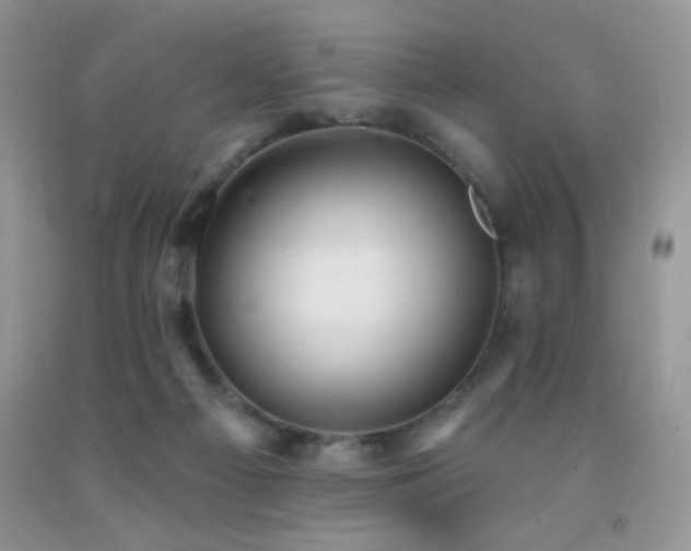 X0000092300121200709141328