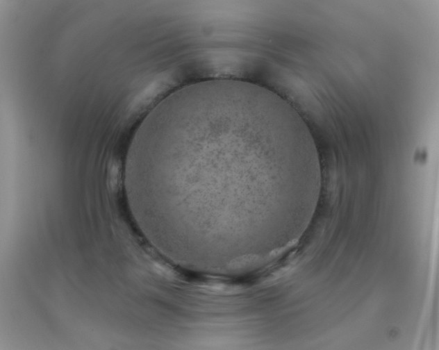 X0000092300123200709141328