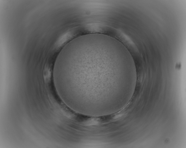 X0000092300124200709141328