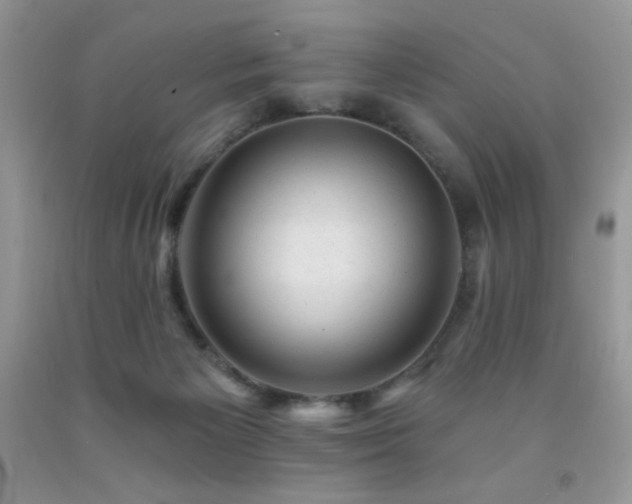 X0000092300125200709141328