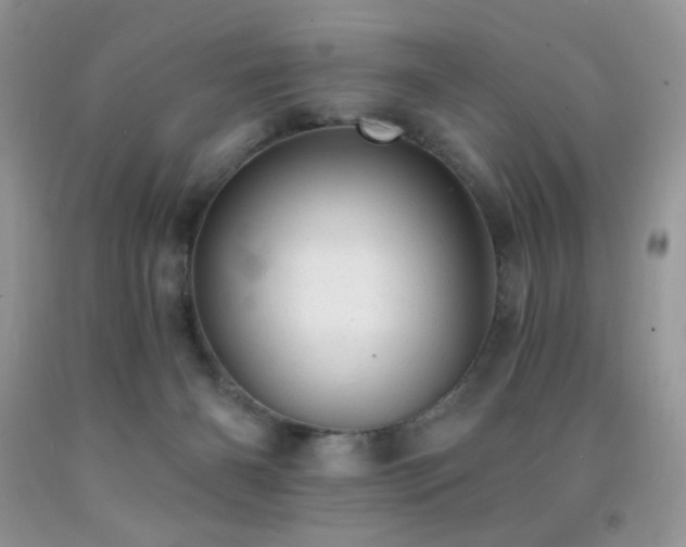X0000092300126200709141328