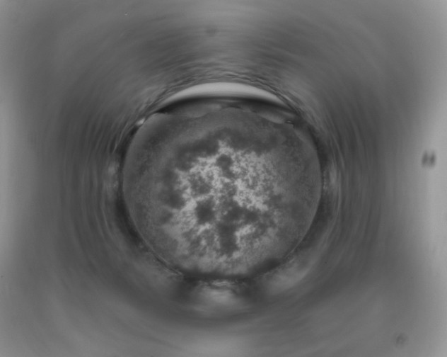 X0000092300127200709141328