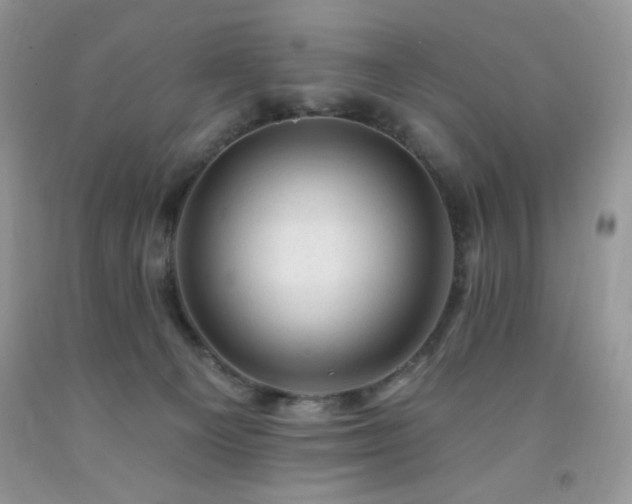 X0000092300129200709141328