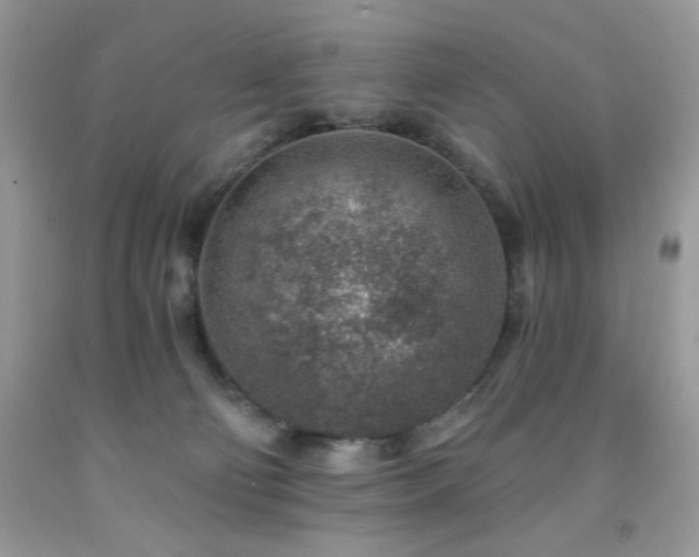 X0000092300130200709141328