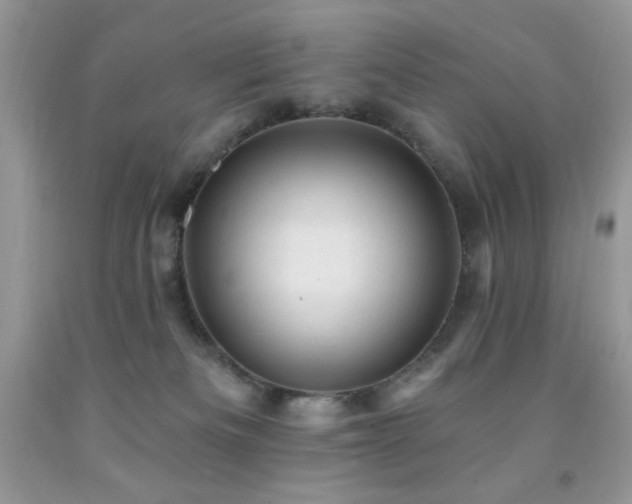 X0000092300133200709141328