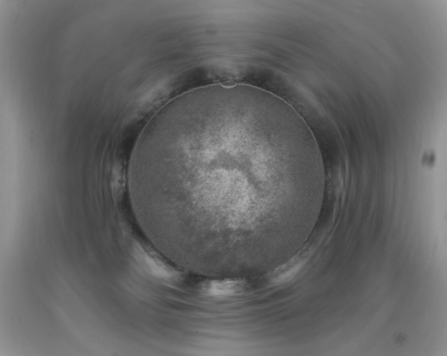 X0000092300134200709141328