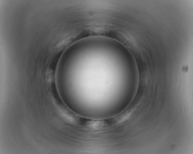 X0000092300135200709141328