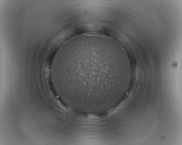 X0000092300137200709141327