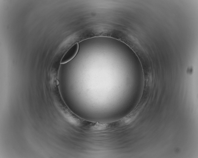 X0000092300138200709141327