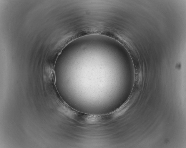 X0000092300142200709141327
