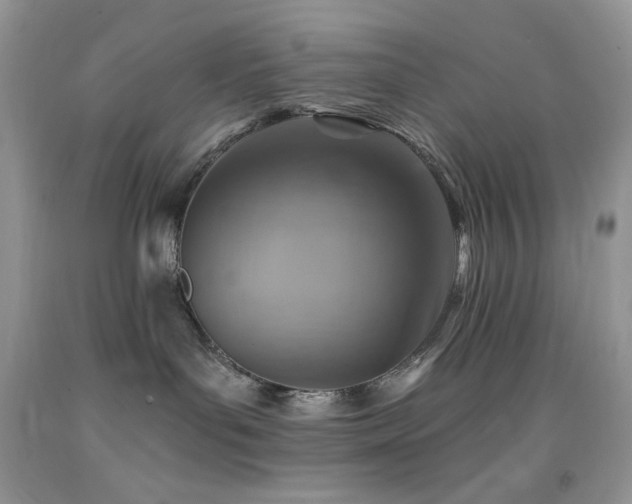 X0000092300143200709141327