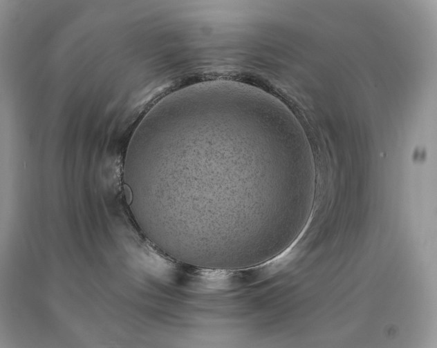 X0000092300144200709141327