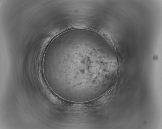 X0000092300145200709141327