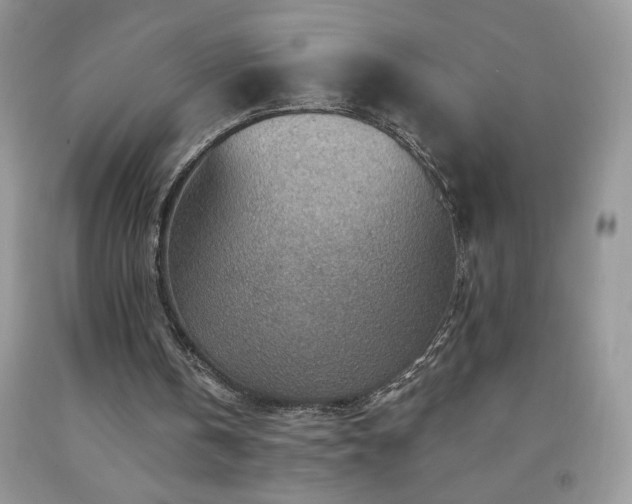 X0000092300146200709141327