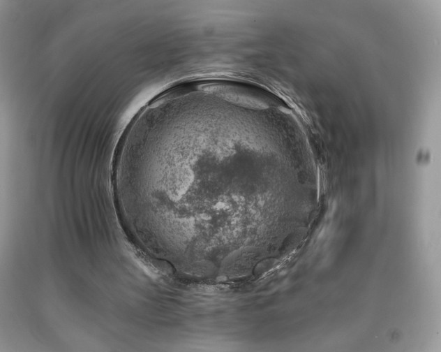 X0000092300147200709141327