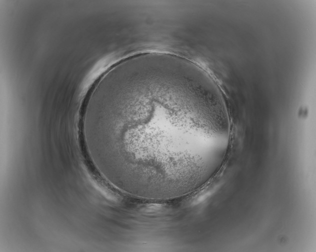 X0000092300151200709141327