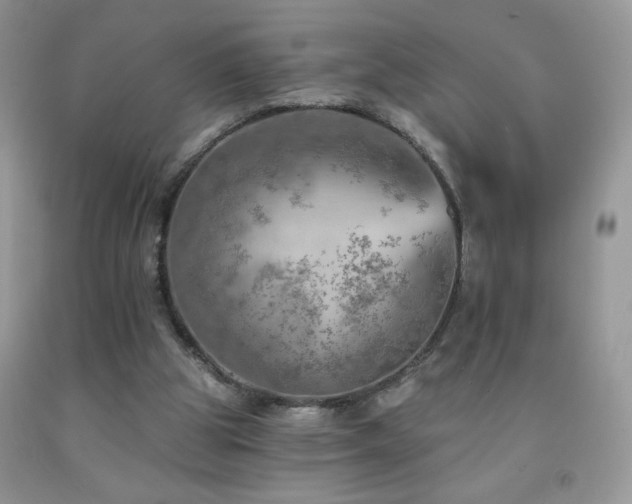 X0000092300153200709141327
