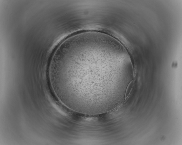 X0000092300155200709141327