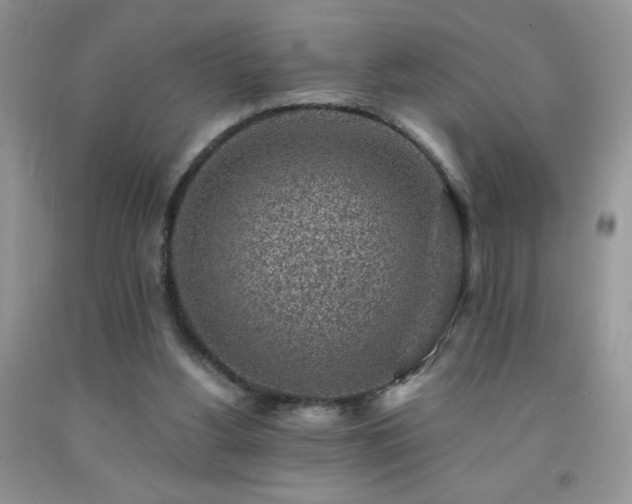 X0000092300156200709141327