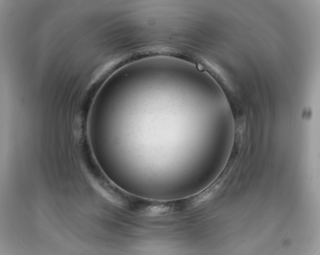 X0000092300158200709141327