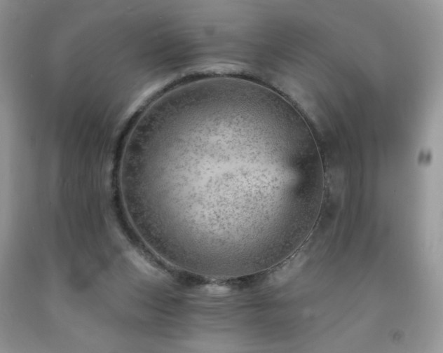 X0000092300159200709141327