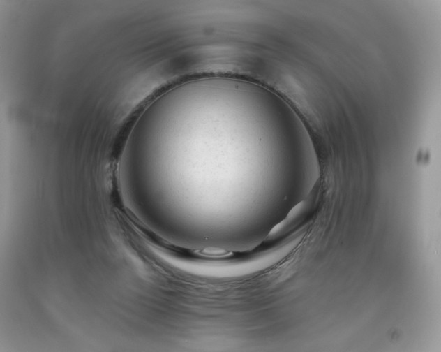 X0000092300160200709141327