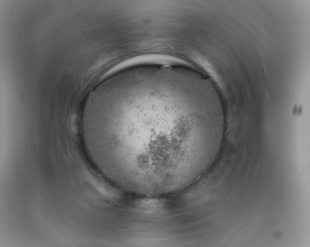 X0000092300161200709141327