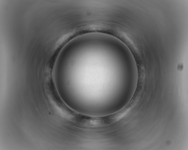 X0000092300164200709141327