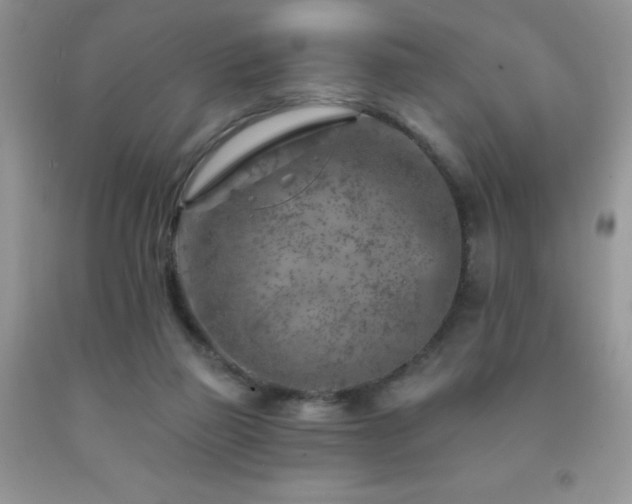 X0000092300165200709141327