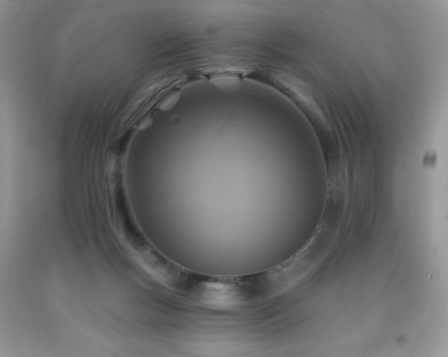 X0000092300167200709141327