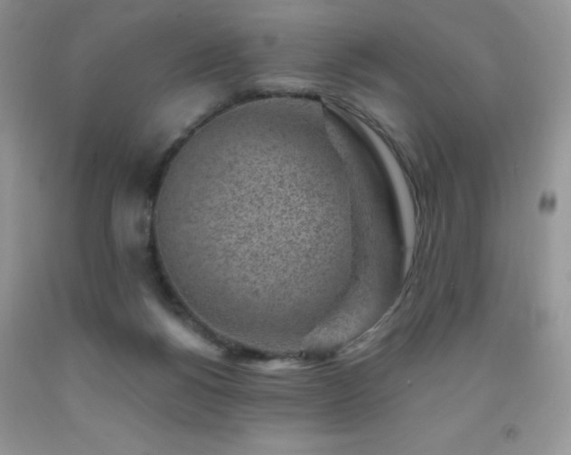 X0000092300168200709141327