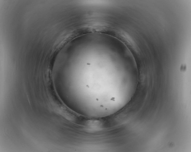 X0000092300169200709141327