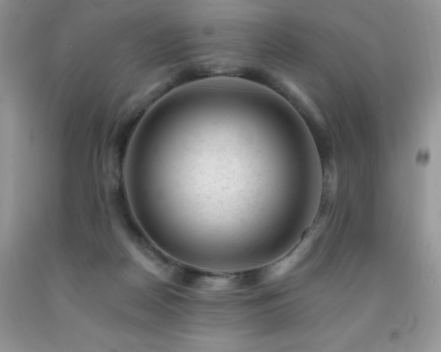 X0000092300170200709141327