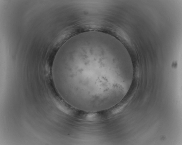 X0000092300173200709141327