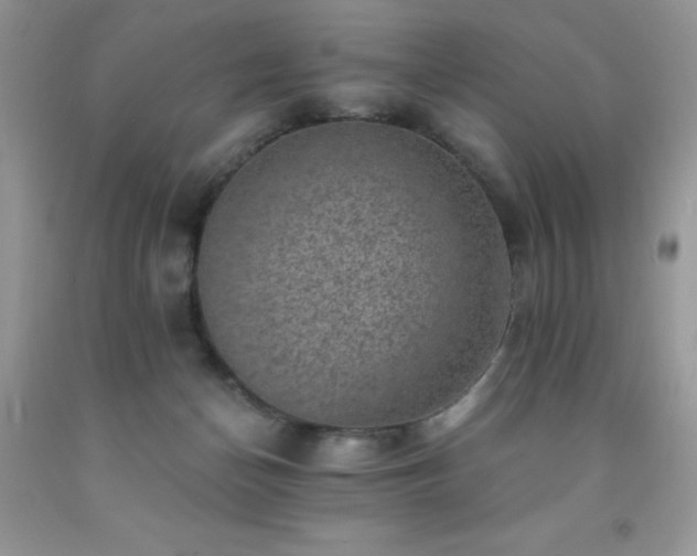 X0000092300174200709141327