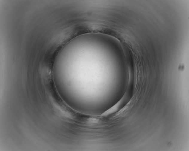 X0000092300176200709141327