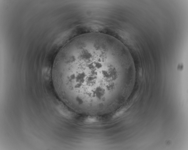 X0000092300177200709141327