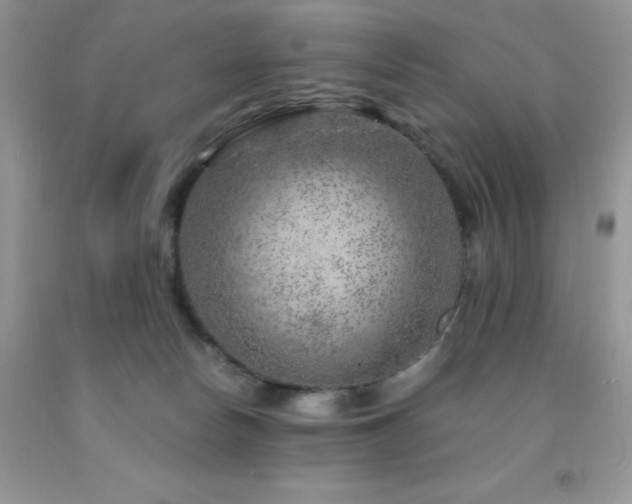 X0000092300178200709141327