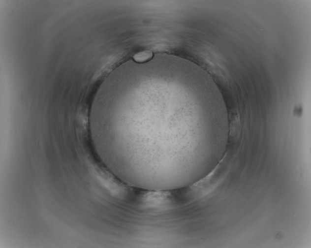 X0000092300179200709141327
