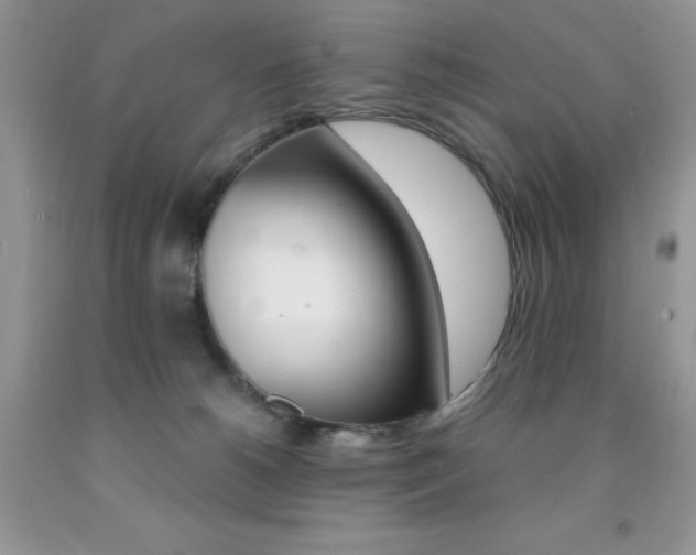 X0000092300180200709141327