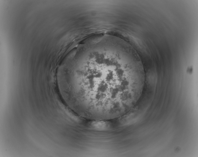 X0000092300181200709141327