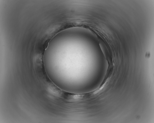 X0000092300184200709141327